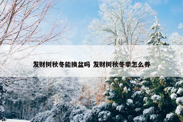 发财树秋冬能换盆吗 发财树秋冬季怎么养