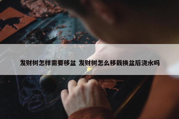 发财树怎样需要移盆 发财树怎么移栽换盆后浇水吗