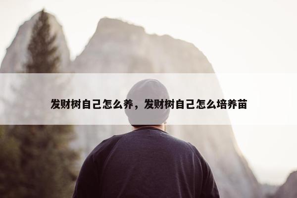 发财树自己怎么养，发财树自己怎么培养苗