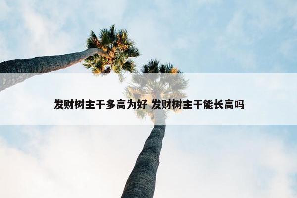 发财树主干多高为好 发财树主干能长高吗