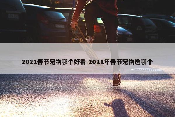 2021春节宠物哪个好看 2021年春节宠物选哪个