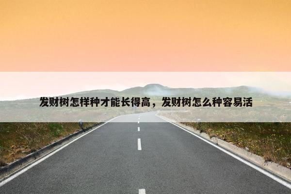 发财树怎样种才能长得高，发财树怎么种容易活