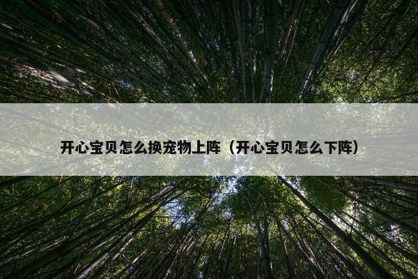 开心宝贝怎么换宠物上阵（开心宝贝怎么下阵）