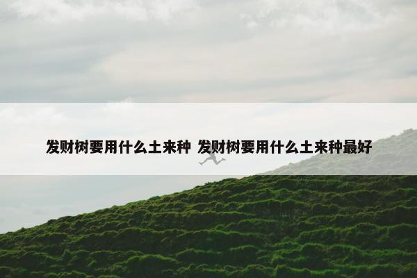 发财树要用什么土来种 发财树要用什么土来种最好