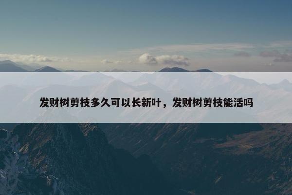 发财树剪枝多久可以长新叶，发财树剪枝能活吗