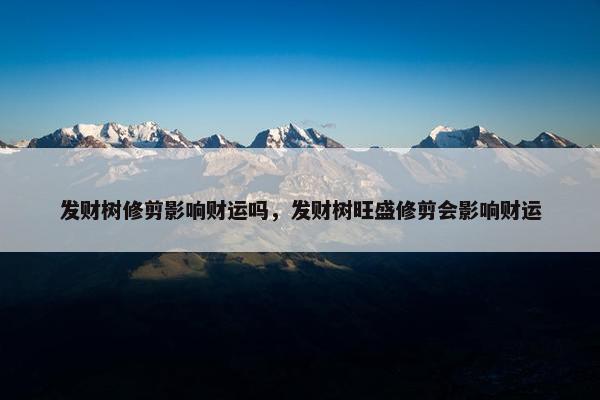 发财树修剪影响财运吗，发财树旺盛修剪会影响财运