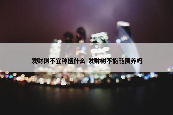 发财树不宜种植什么 发财树不能随便养吗