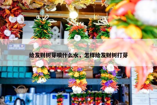 给发财树芽喷什么水，怎样给发财树打芽