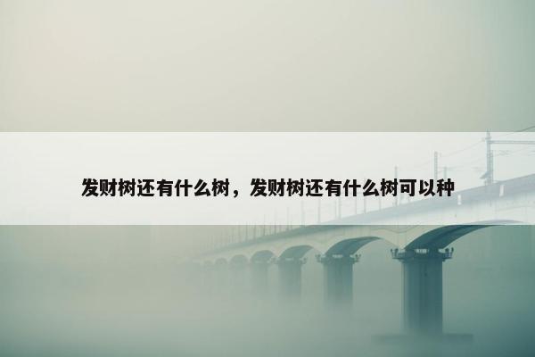 发财树还有什么树，发财树还有什么树可以种