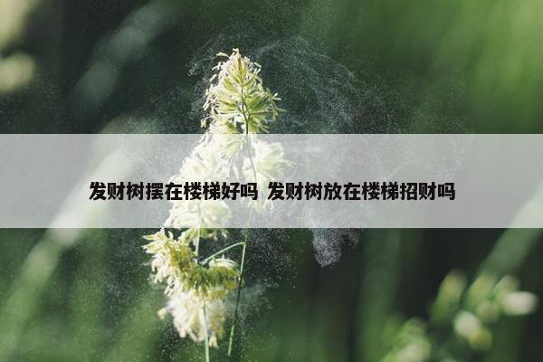 发财树摆在楼梯好吗 发财树放在楼梯招财吗