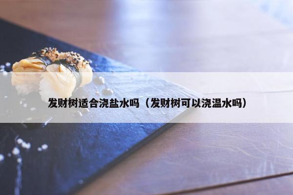 发财树适合浇盐水吗（发财树可以浇温水吗）