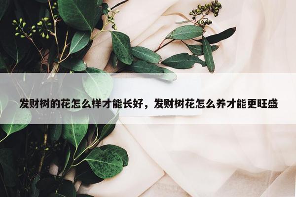 发财树的花怎么样才能长好，发财树花怎么养才能更旺盛