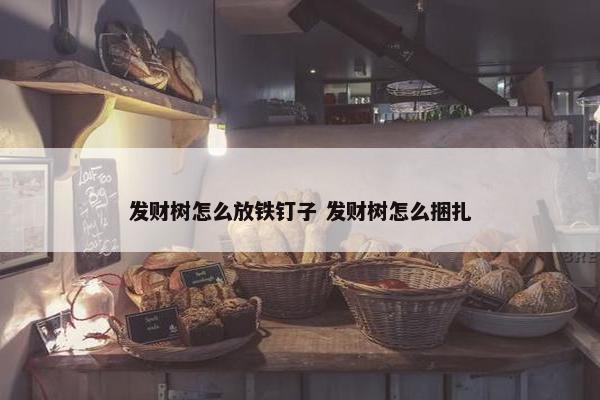 发财树怎么放铁钉子 发财树怎么捆扎