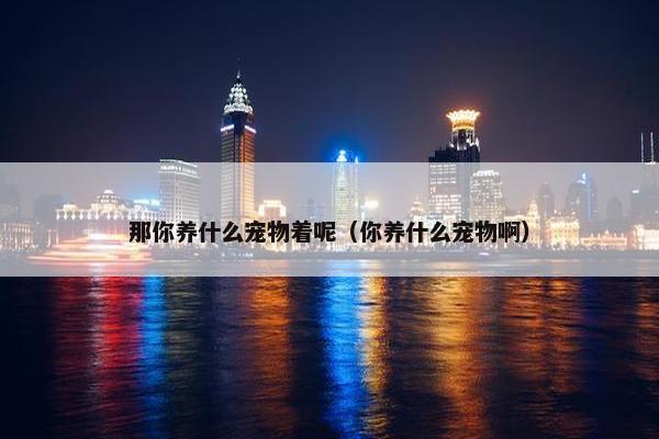 那你养什么宠物着呢（你养什么宠物啊）