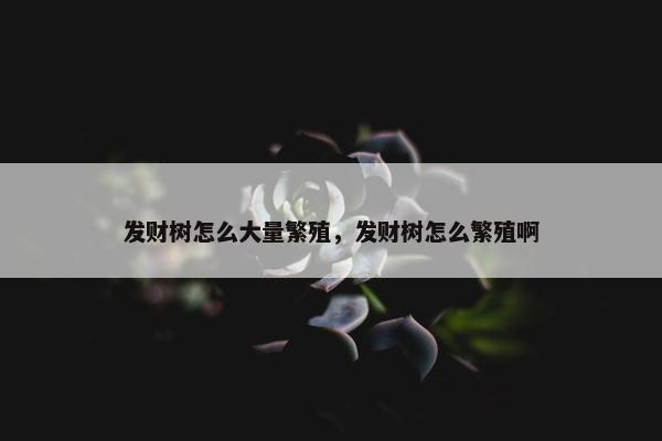 发财树怎么大量繁殖，发财树怎么繁殖啊