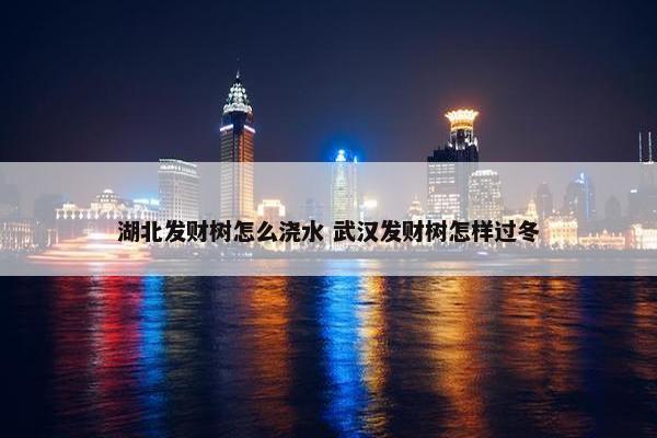 湖北发财树怎么浇水 武汉发财树怎样过冬