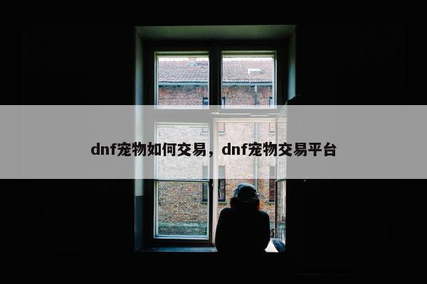 dnf宠物如何交易，dnf宠物交易平台