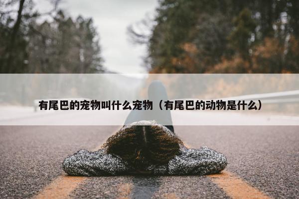 有尾巴的宠物叫什么宠物（有尾巴的动物是什么）