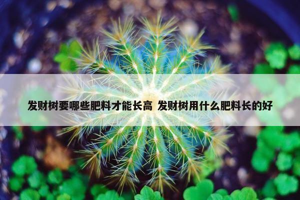 发财树要哪些肥料才能长高 发财树用什么肥料长的好