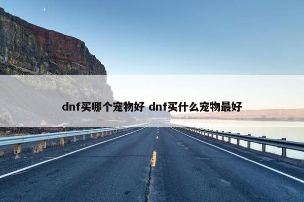 dnf买哪个宠物好 dnf买什么宠物最好