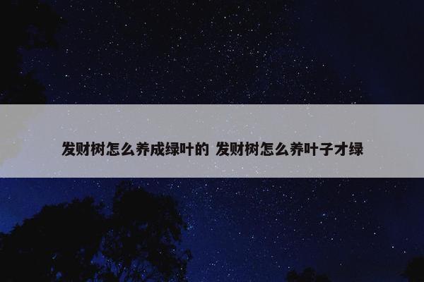 发财树怎么养成绿叶的 发财树怎么养叶子才绿