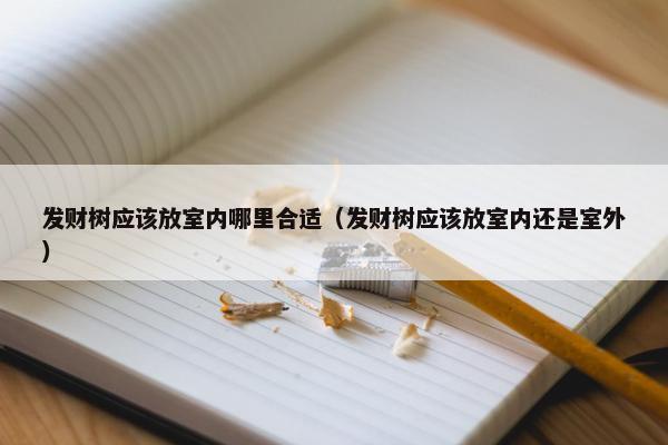 发财树应该放室内哪里合适（发财树应该放室内还是室外）