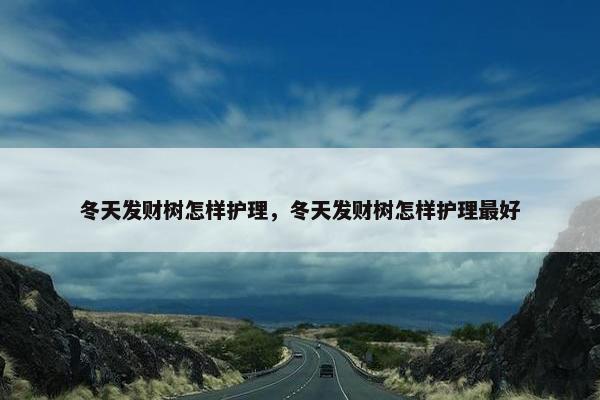 冬天发财树怎样护理，冬天发财树怎样护理最好