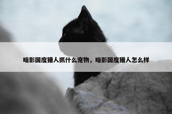 暗影国度猎人抓什么宠物，暗影国度猎人怎么样