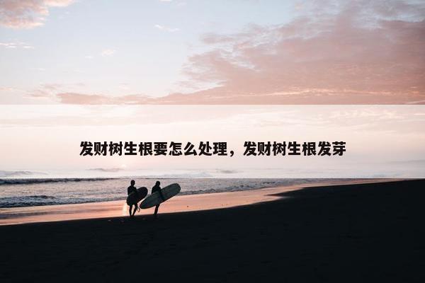 发财树生根要怎么处理，发财树生根发芽