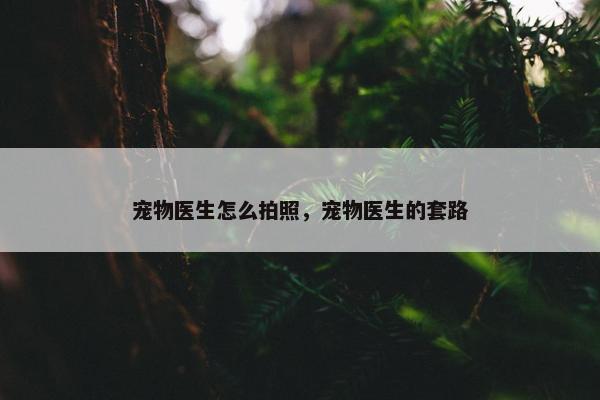 宠物医生怎么拍照，宠物医生的套路