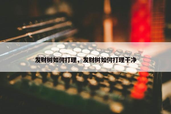 发财树如何打理，发财树如何打理干净