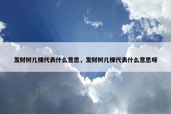 发财树几棵代表什么意思，发财树几棵代表什么意思呀