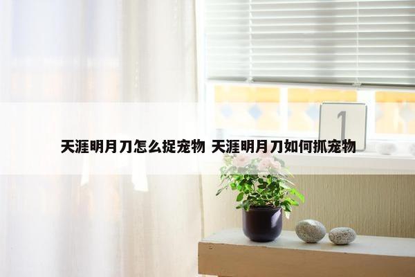 天涯明月刀怎么捉宠物 天涯明月刀如何抓宠物