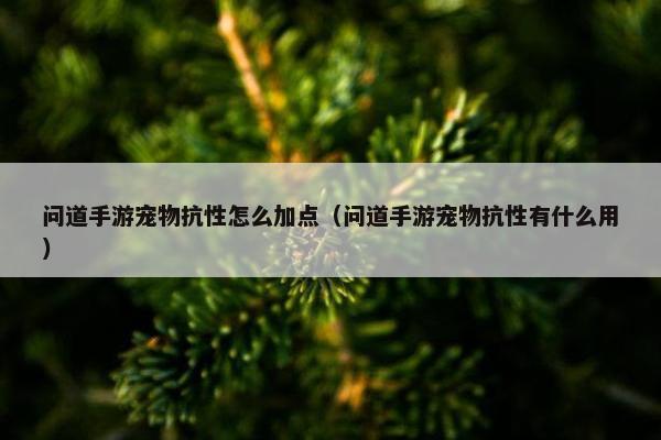 问道手游宠物抗性怎么加点（问道手游宠物抗性有什么用）