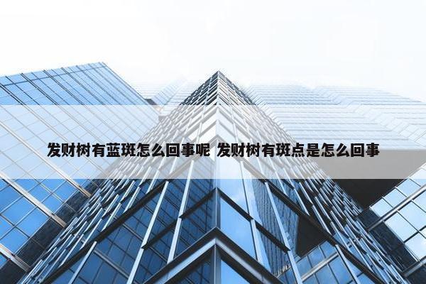 发财树有蓝斑怎么回事呢 发财树有斑点是怎么回事