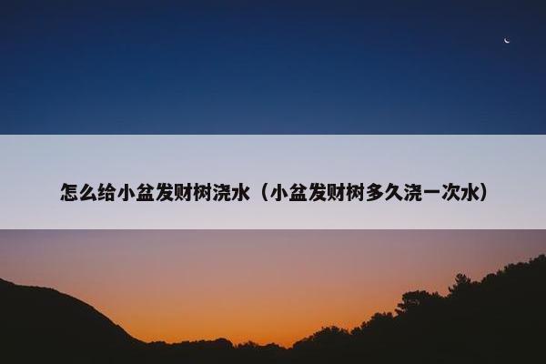 怎么给小盆发财树浇水（小盆发财树多久浇一次水）