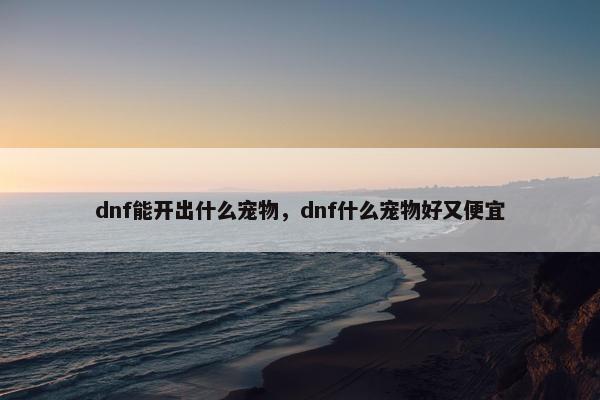 dnf能开出什么宠物，dnf什么宠物好又便宜