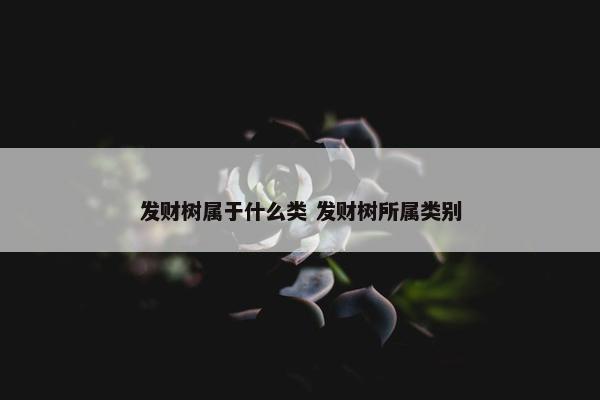 发财树属于什么类 发财树所属类别