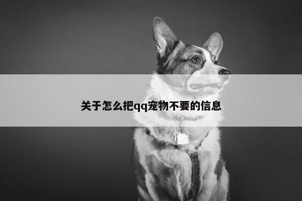 关于怎么把qq宠物不要的信息