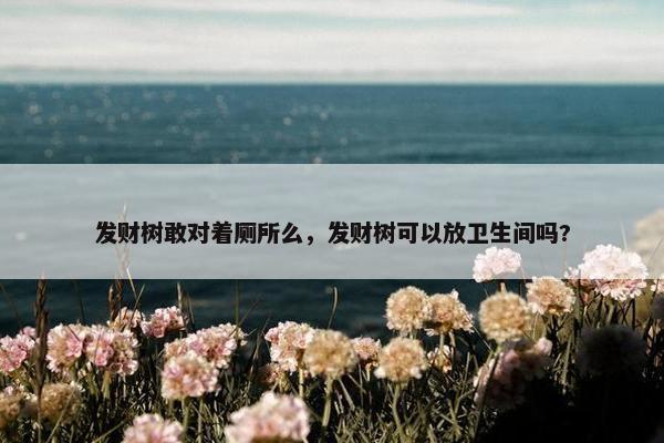 发财树敢对着厕所么，发财树可以放卫生间吗?