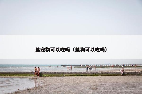 盐宠物可以吃吗（盐狗可以吃吗）