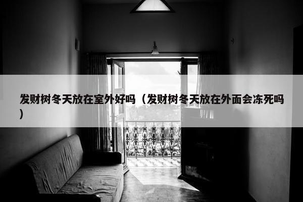 发财树冬天放在室外好吗（发财树冬天放在外面会冻死吗）