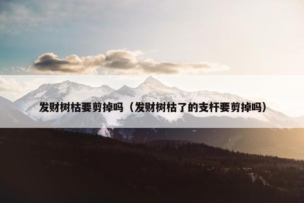 发财树枯要剪掉吗（发财树枯了的支杆要剪掉吗）