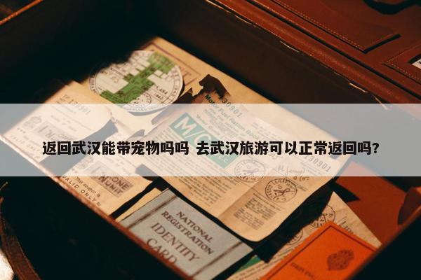 返回武汉能带宠物吗吗 去武汉旅游可以正常返回吗?