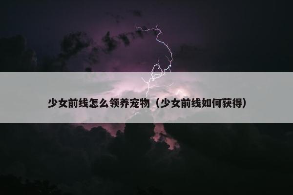 少女前线怎么领养宠物（少女前线如何获得）