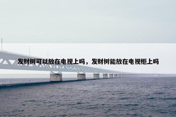 发财树可以放在电视上吗，发财树能放在电视柜上吗