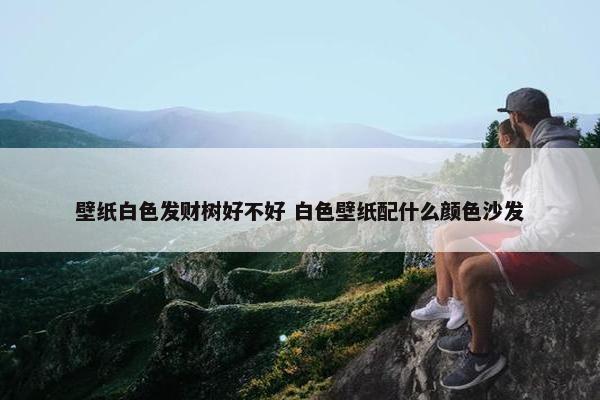 壁纸白色发财树好不好 白色壁纸配什么颜色沙发