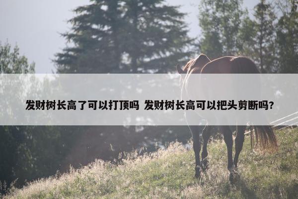 发财树长高了可以打顶吗 发财树长高可以把头剪断吗?