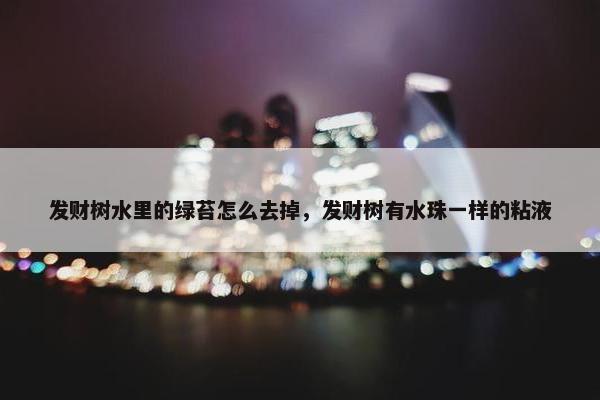 发财树水里的绿苔怎么去掉，发财树有水珠一样的粘液