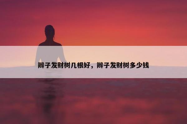 辫子发财树几根好，辫子发财树多少钱